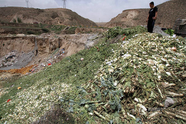 �m�ݸ�ԭ�Ĳ˜��N ����e�A���Ӝ�