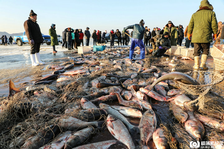 �������������~10�f�����������M��1�f