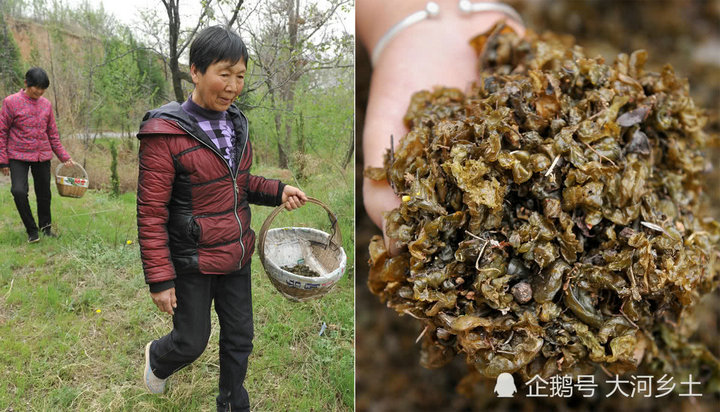 �r���зNʳˎ����Ұ��������  ��̫ꖾ���ʧ